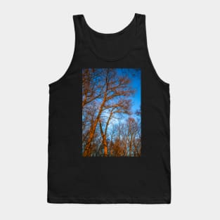 Winter landscape - frosty trees in snowy forest in the sunny morning. Tranquil winter nature in sunlight Tank Top